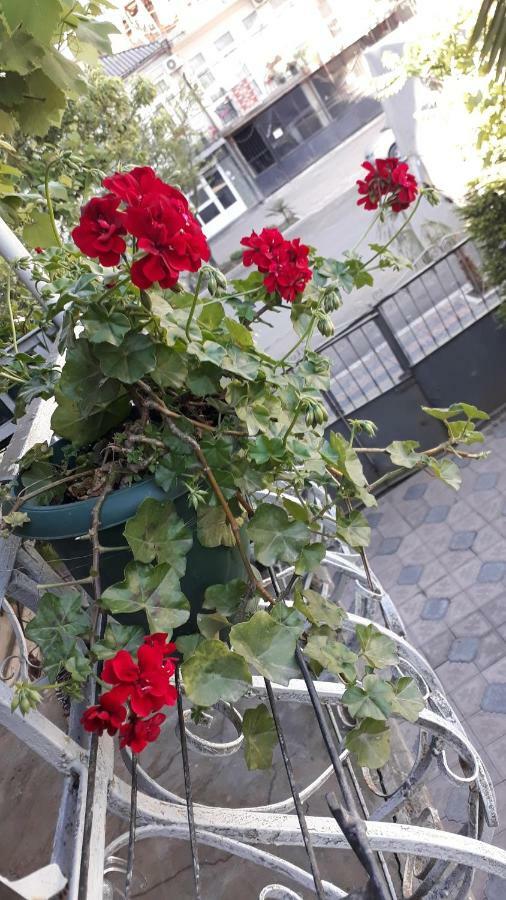 Homestay Izolda Batumi Esterno foto